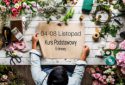 Kurs podstawowy - Kraków MCEF - 4-8.11.2019 r.