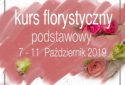Kurs podstawowy -Kraków MCEF- 7-11.10.2019 r.