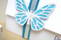 papilio