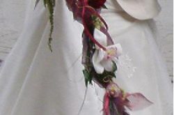 orchidea m- róża