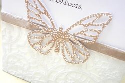 papilio
