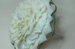 Biała rosamelia