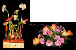 Florystyka