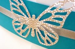 papilio
