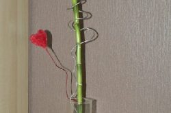 Walentynkowy Lucky Bamboo