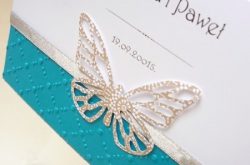 papilio