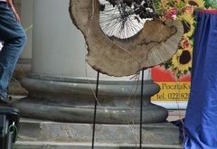 prace florystyczne wykonane na VII Festiwalu Róż