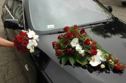 czerwone róże, storczyk phalaenopsis / jessi.pl